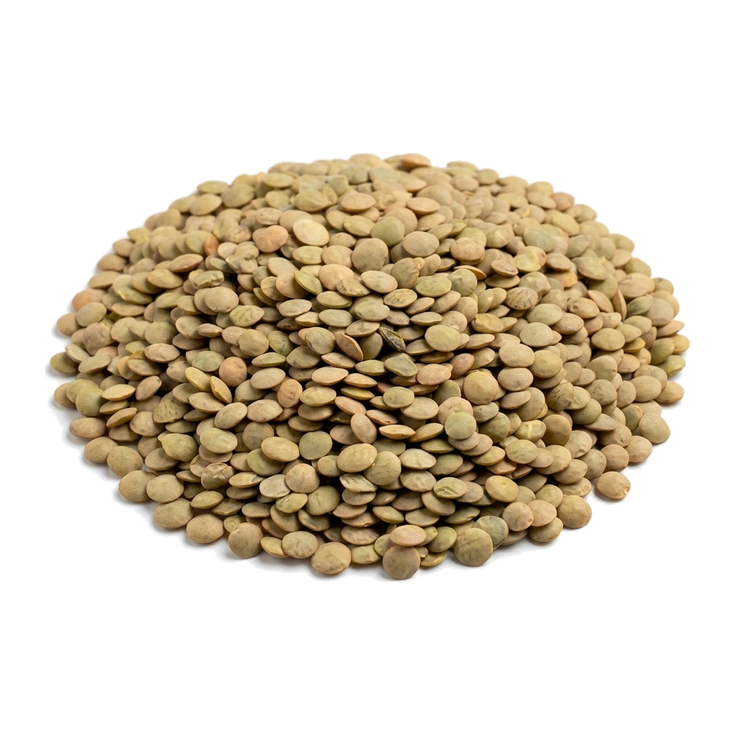 Organik Yeşil Mercimek