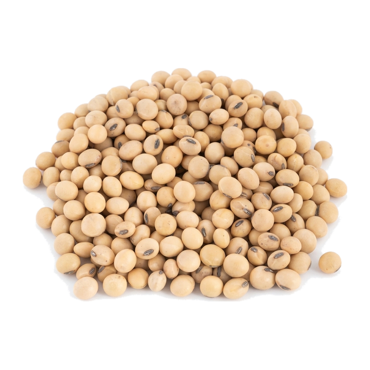 Organik Soya Fasulyesi
